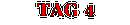Tag 4